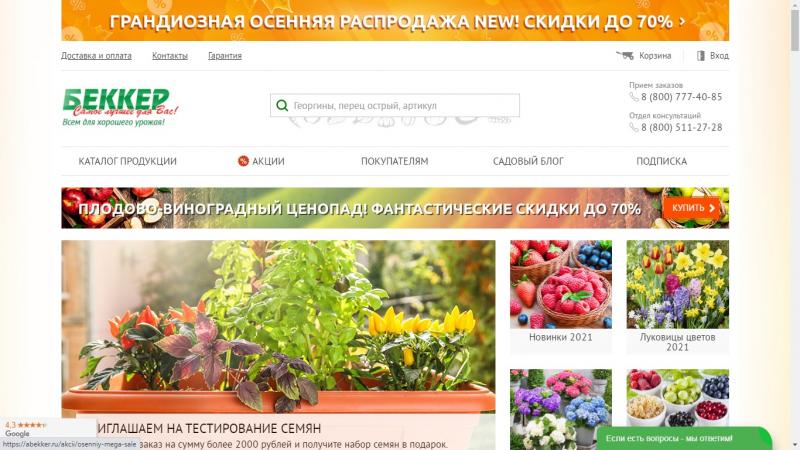 abekker ru каталог семян цветов и овощей